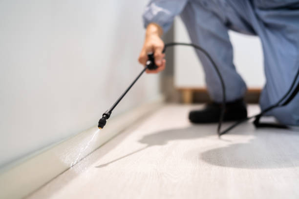 Licensed Pest Control service in North Yelm, WA - Nex Pest Control