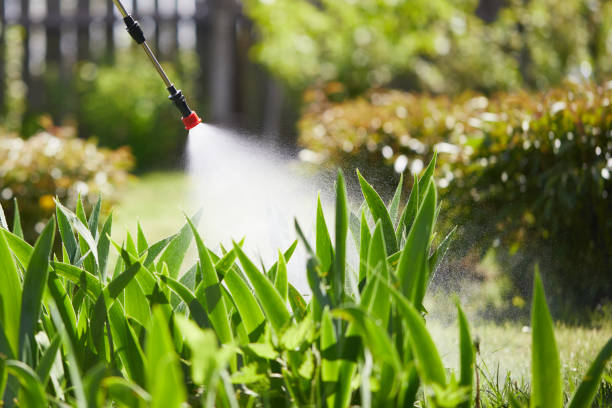 24/7 Emergency Cockroach Control experts in North Yelm, WA