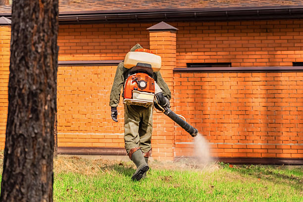 Trusted Bed Bug Control service in North Yelm, WA - Nex Pest Control